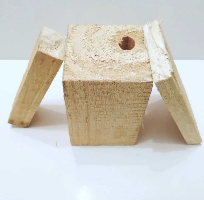 20x Paulownia Holzleisten Länge 1000mm 50x40mm